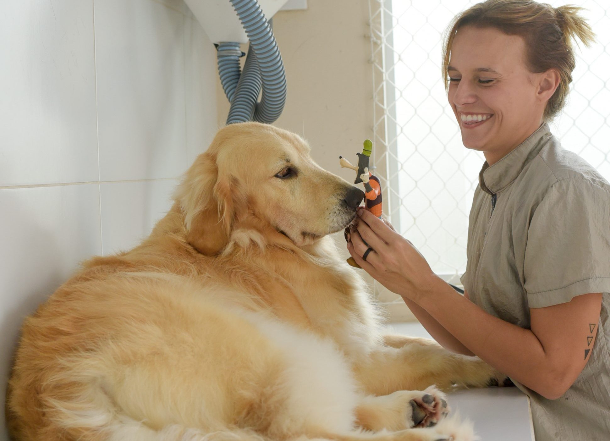 Atendimento Clínico e Consulta Veterinária